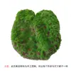 Pedra de Musgo Artificial Parede de Plantas Verdes Musgo Bonsai Bonsai Micro Paisagismo Enfeite DIY Decoração Pedra de Cabelo Artificial Decoração