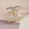 Presilha de Cabelo Exquisita com Strass de Alta Qualidade para Mulheres, Presilha de Cabelo Simples de Tamanho Médio, Presilha de Cabelo Elegante, Presilha de Tubarão, Presilha de Cabelo Elegante para a Parte de Trás da Cabeça