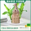 Planta em Vaso de Madeira Brasileira Figura de Árvore Groot Árvore da Sorte Hidropônica Planta Verde Florífera Planta Cultivada em Água para Interior Bonsai de Mesa
