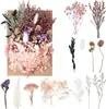 Atacado de Flores Secas, Flores Eternas, Velas Perfumadas DIY Xiduo, Porta-Retratos, Leques Redondos, Kits de Materiais de Flores Prensadas Artesanais para Jardim de Infância