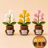 Plantas en Maceta Terminadas Transfronterizas, Adornos de Luz de Noche de Muguete Tejidos a Mano, Tarjetas de Ánimo de Emociones Positivas, Plantas en Maceta de Muñeca