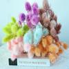 Fábrica de Yunnan, venta al por mayor, fruta de la fortuna eterna, cubierta de vidrio, artesanías, flores, aromaterapia, flores secas decorativas