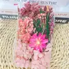 Kit de Materiales de Flores Secas DIY de Flor Eterna Hecha a Mano, Superventas Transfronterizo, Marco de Fotos, Abanico, Caja de Flores, Planta con Nervadura de Hoja, Materiales de Flores Secas