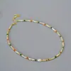 Collar de Cadena para Clavícula con Perlas de Agua Dulce Irregulares Estilo Barroco, con Cuentas Cilíndricas de Concha Retro Dopamina, Nicho Europeo y Americano