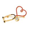 Série Médica Europeia e Americana Transfronteiriça Mais Vendida Broche de Liga de Metal Estetoscópio Médico Eletrocardiograma Órgão Humano Acessórios de Liga de Metal