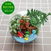 Musgo de campo quente micro paisagem carnuda garrafa de vidro ecológica planta verde criativa saco de material DIY ornamentos traje de atividade