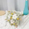 Gipsófila Rosa Ramo Seco Real de Año Nuevo Flor Eterna Decoración de Oficina Accesorios para el Hogar Estilo Ins Escandinavo