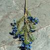 Viento de océano azul flores de simulación para boda al por mayor azul oscuro azul zafiro azul bruma blanco boda camino guía techo flores falsas
