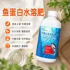 Fertilizante solúvel em água à base de proteína de peixe aminoácido de alga fertilizante foliar fertilizante para hortaliças árvores frutíferas flores enraizamento mudas fortes um spray fertilizante solúvel em água verde
