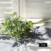 Planta de Simulação Folhas de Eucalipto 6 Galhos Folhas de Dinheiro Casa Casamento Folhas Plásticas Artificiais Arranjo de Flores Plantas Verdes Acessórios