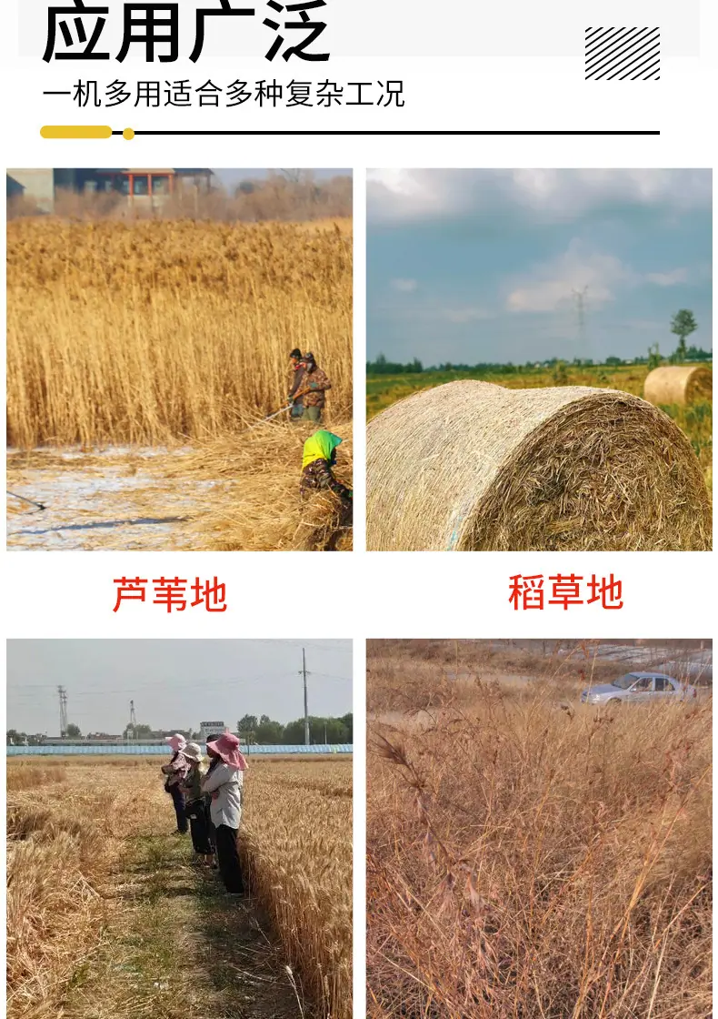 沙漠压草机详情_03.jpg