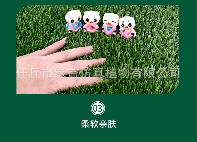 详情页_11.jpg
