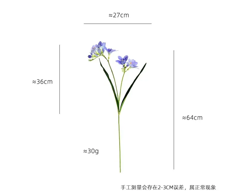 东亚兰4.jpg