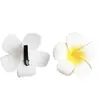 Multi-Especificación Transfronteriza 4/5/6/7/9 Flor Decorativa Flor de Frangipani Pasador de Cabello de Frangipani Viaje Vacaciones Pollo