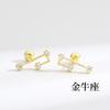 S925 Tremella Bone Nail Estilo Coreano Feminino Pequeno Fresco Incrustado de Diamante Doze Constelação Torção Parafuso Doce Elegante Moda Brincos