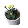 Bañera de Guardería Bolsa de Guardería Bolsa de Guardería Contenedor Engrosado Desechable No Tejido Taza Envío Gratis 100 Gran Cantidad Envío Gratis