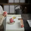 Moji Juego de Té Kung Fu Frijol Rojo Poco Profundo Traje Caja de Regalo Hogar Juego Completo de Té Juego de Tazas con Tapa de Grulla Bronceada
