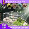 Caixa Acrílica Personalizada para Animais de Estimação, Caixa para Répteis, Tanque de Floresta Tropical, Peixe Gecko, Tartaruga, Aranha, Tanque de Criação Paisagístico, Caixa Ornamental