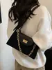 Bolso de cadena de lujo de alta gama, ligero, para mujer, diseño nuevo, estilo de nicho, adecuado para ir al trabajo, se puede llevar debajo del brazo o usar como bolso de hombro o bolso cruzado