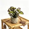 Planta Artificial de Bonsái Verde con Forma de Búho de 4 Ramas, Modelo Nuevo Transfronterizo para Bar y Cafetería, Decoración Única de Planta Falsa en Maceta