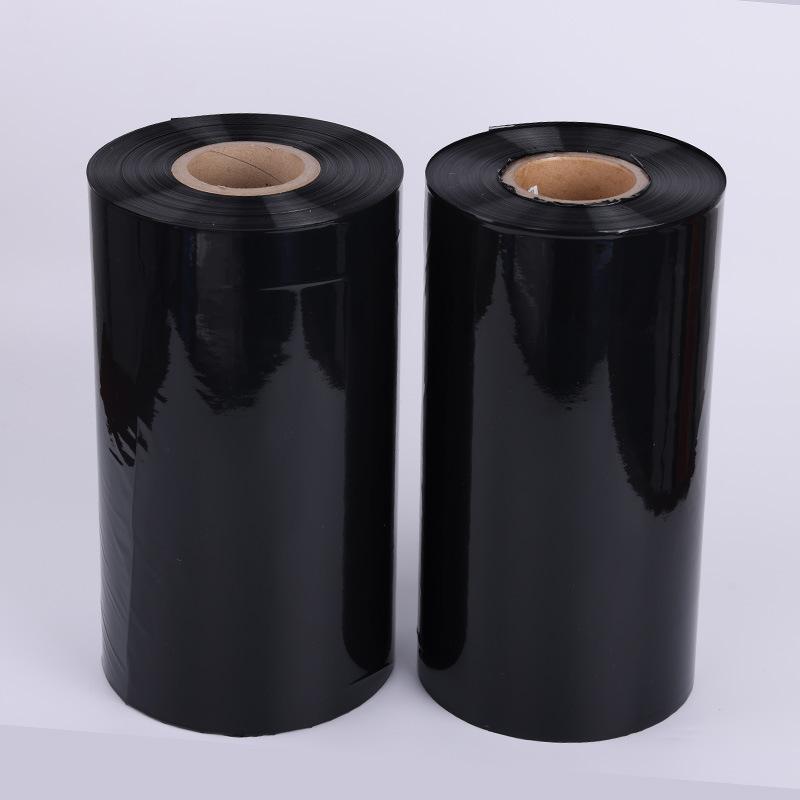 3D1A3646