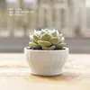 Lote Misto Mercearia Japonesa Vaso de Flor Pequeno para Mesa Vaso Respirável para Suculentas Vaso de Flor de Cerâmica Branca para Suculentas Estampado
