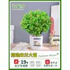 Planta en Maceta Flor de Milán, Planta de Interior con Flores y Capullos, Planta Verde Repelente de Mosquitos, Bonsái de Tocón Viejo, Planta de Floración Cuatro Estaciones, Fragante y Fácil de Cuidar