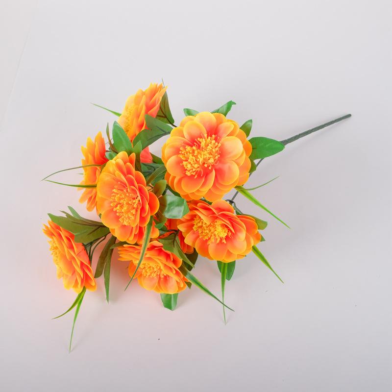 DSCF2542