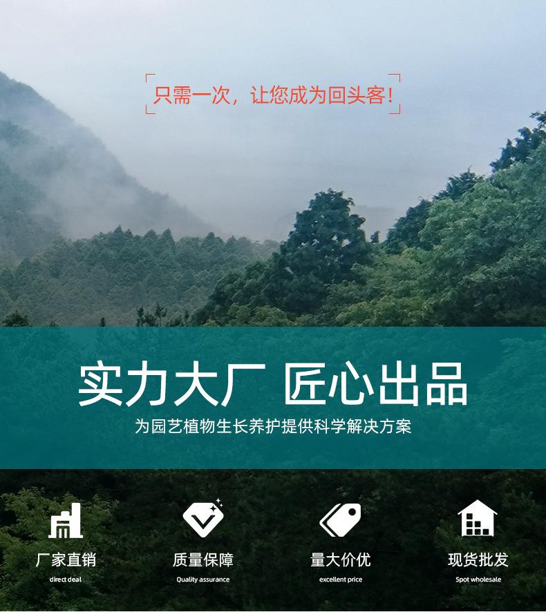 详情新_01