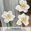 Flores Artificiales Color Champán para Bodas al Aire Libre, Decoraciones de Fondo de Boda, Adornos para Sala de Estar en Casa, de Alta Gama y Realistas