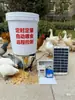 Alimentador Timer Solar Pombo Frango Pato Ganso Cachorro Peixe Camarão Dispensador Elétrico Ração Frango Alimentador de Aves