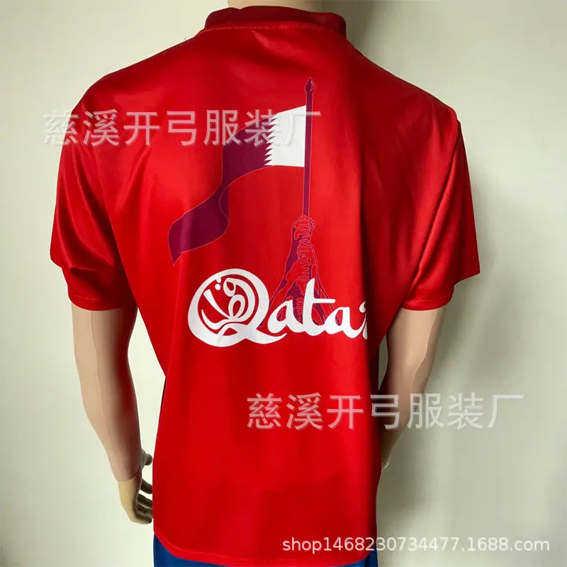 卡塔尔 (3)