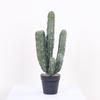 Cacto Planta Verde Simulado Escandinavo Cacto Grande Simulado em Vaso Decoração de Paisagismo de Deserto para Sala de Estar Janela Interna