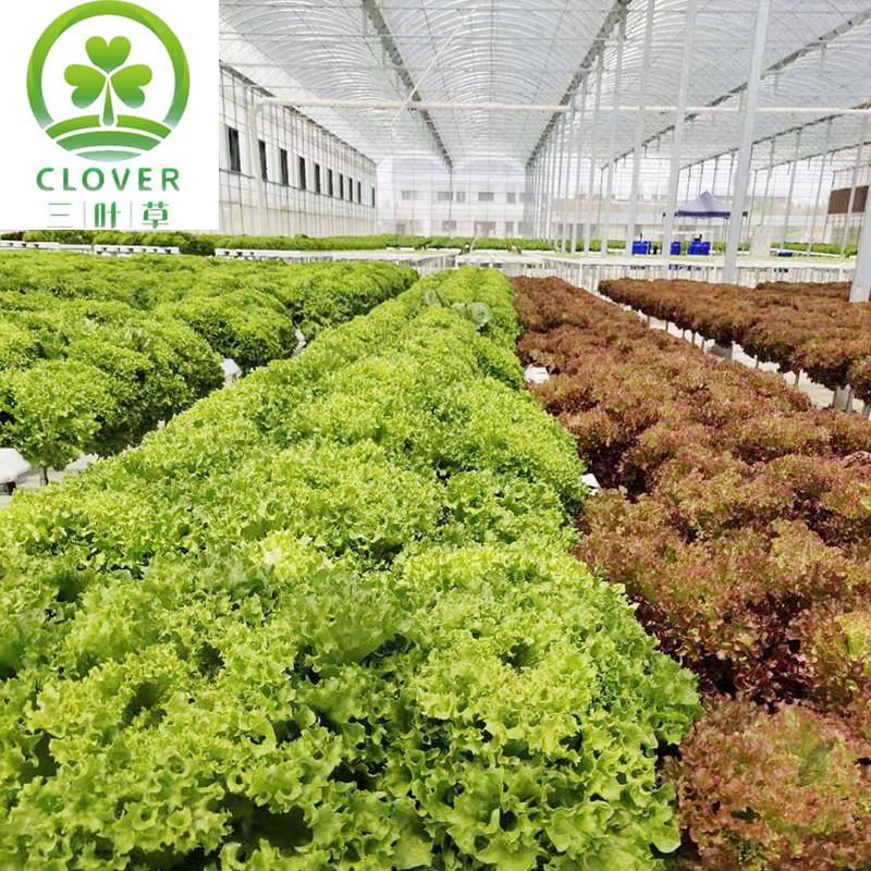 微信图片_20200106164053