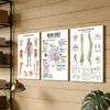 Pintura Sem Moldura de Órgãos Corporais da Amazon para Sala de Estar, Estudo, Academia, Impressão em Tela, Pintura Decorativa, Arte de Parede Pintada com Spray
