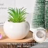 Vaso de Flor de Cerâmica Criativo Simples Branco Vaso de Porcelana Branca de Dehua Vaso Mini para Suculenta Orquídea Phalaenopsis Pequeno Vaso Decorativo