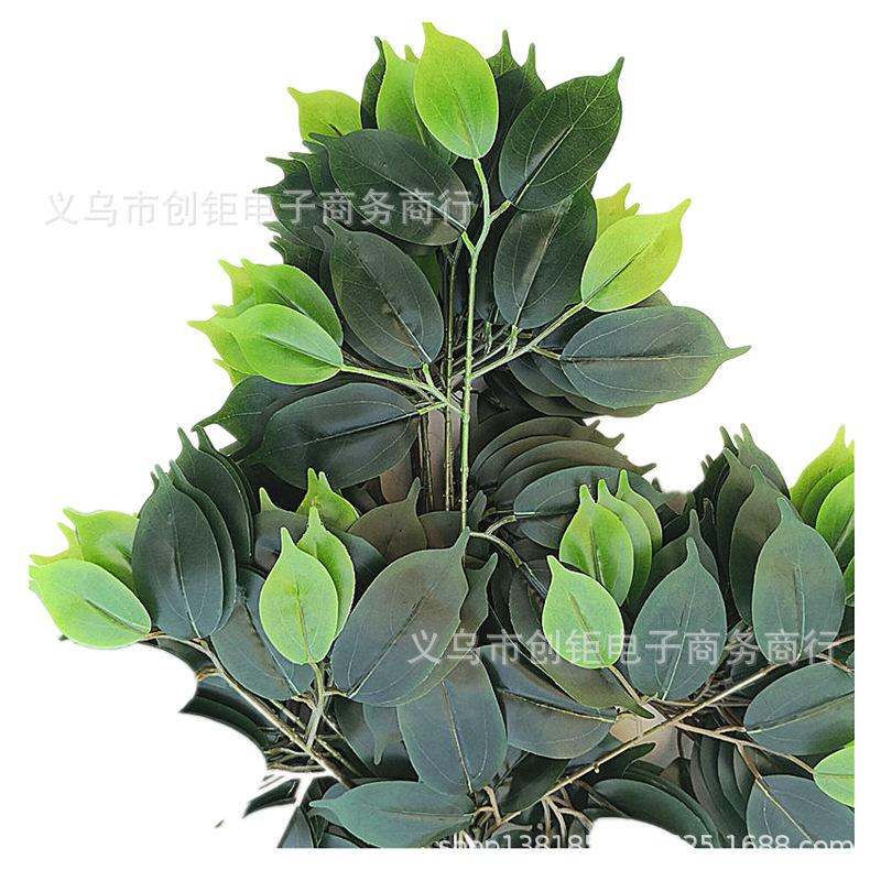 QQ图片20180428151107_副本.png