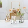 Vaso de Vidro Transparente Simples Sensação de Alto Padrão Decoração de Mesa de Escritório Sala de Estar Mesa de Jantar Vaso Ornamento de Vidro Garrafa de Vidro Hidropônica