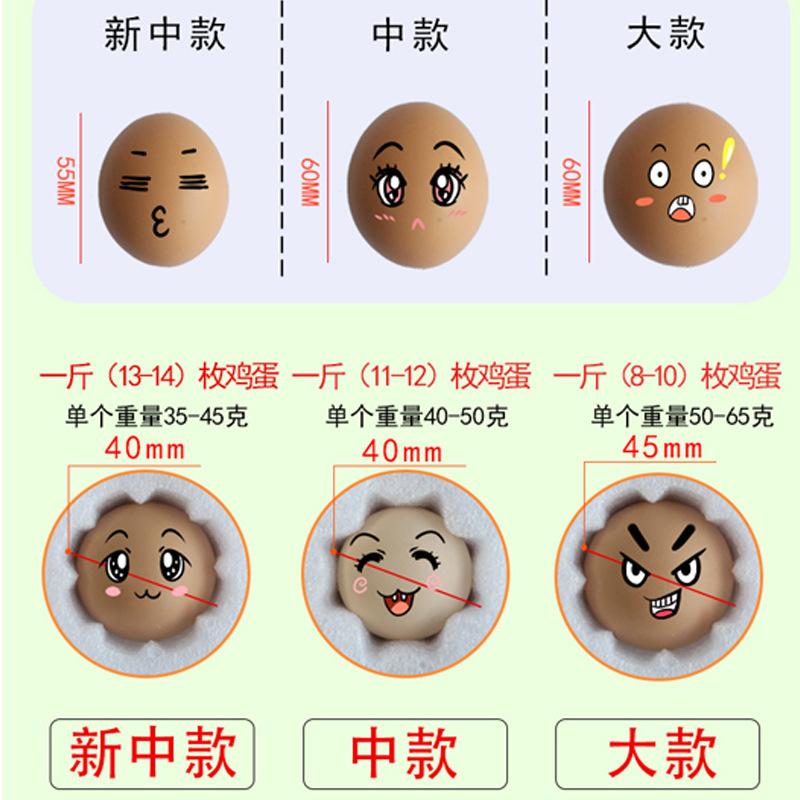 尺寸