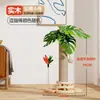 Rascador para gatos árbol para gatos suministros para mascotas juguetes para gatos autoentretenimiento campana palo para provocar gatos pluma antiarañazos sofá mascota universal