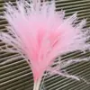 Flores Secas Hada del Polvo de Cerdas Suaves de Yunnan Flores DIY Decoración del Hogar Ramo con Accesorios para Disparos Venta al por Mayor Transfronteriza