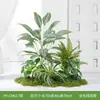 Kit de Paisaje de Vegetación Artificial, Combinación de Mini Escena de Musgo