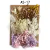 Bolsa de Materiales DIY Flor Seca Inmortal Tuanjian Marco de Fotos Pintura Tarjeta de Felicitación Tuanfan Ramo Pequeño Hecho a Mano Flor Real Bolsa de Flores en Relieve