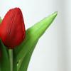 Simulación Tulipán de goma blanda en maceta fotografía casera decoración de boda flor de simulación simulación Tulipán fabricantes de flores falsas
