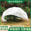 Bolsa Protectora de Tela No Tejida para Protección contra Heladas de Uva, Aislamiento y Retención de Humedad para Árboles Frutales, Bolsa con Cordón a Prueba de Insectos y Repelente al Agua, Cubierta para Árbol, Protectora e Impermeable