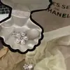 Exquisito pasador de pelo de estilo coreano con cuentas y un diseño inspirado en Instagram, pasador de perlas, accesorio para el cabello, de alta gama y elegante