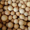 Precio Barato Venta al por Mayor de Fábrica Calabaza Cruda Natural con Imperfecciones, Calabaza Pequeña Hecha a Mano para Manualidades