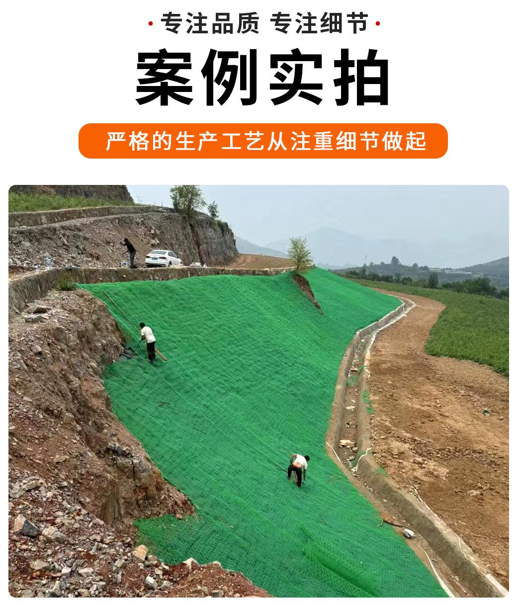 3三维植被网_12.jpg