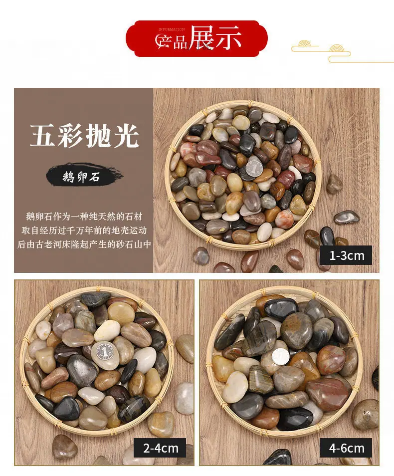 a091f4b7-d812-47b4-996e-1db9505053ce.jpe