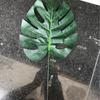 Simulação Folha Verde Folha de Azevinho Natal Ano Novo Casa Casamento Anel de Balão Decoração Criativa Fotografia Adereços de Foto Plantas Verdes Arranjo de Flores